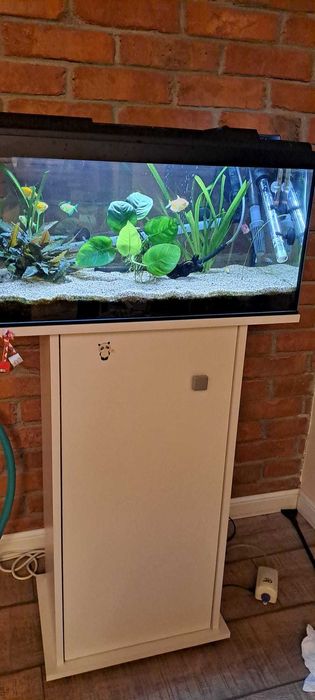 Vand acvariu 60l, complet (&accesorii)