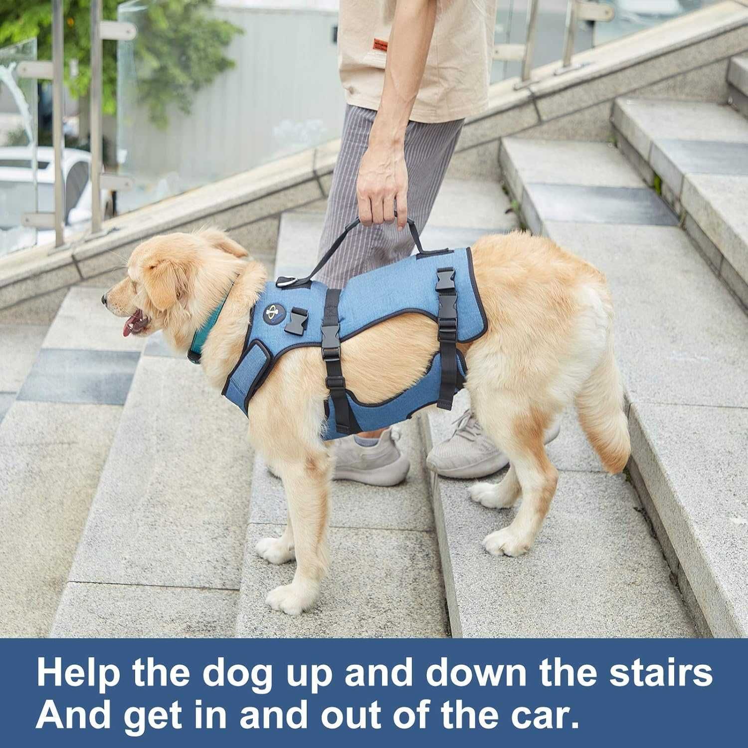 Dog lift harness