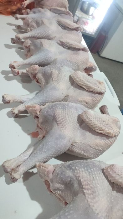 Мясо Индейки домашняя