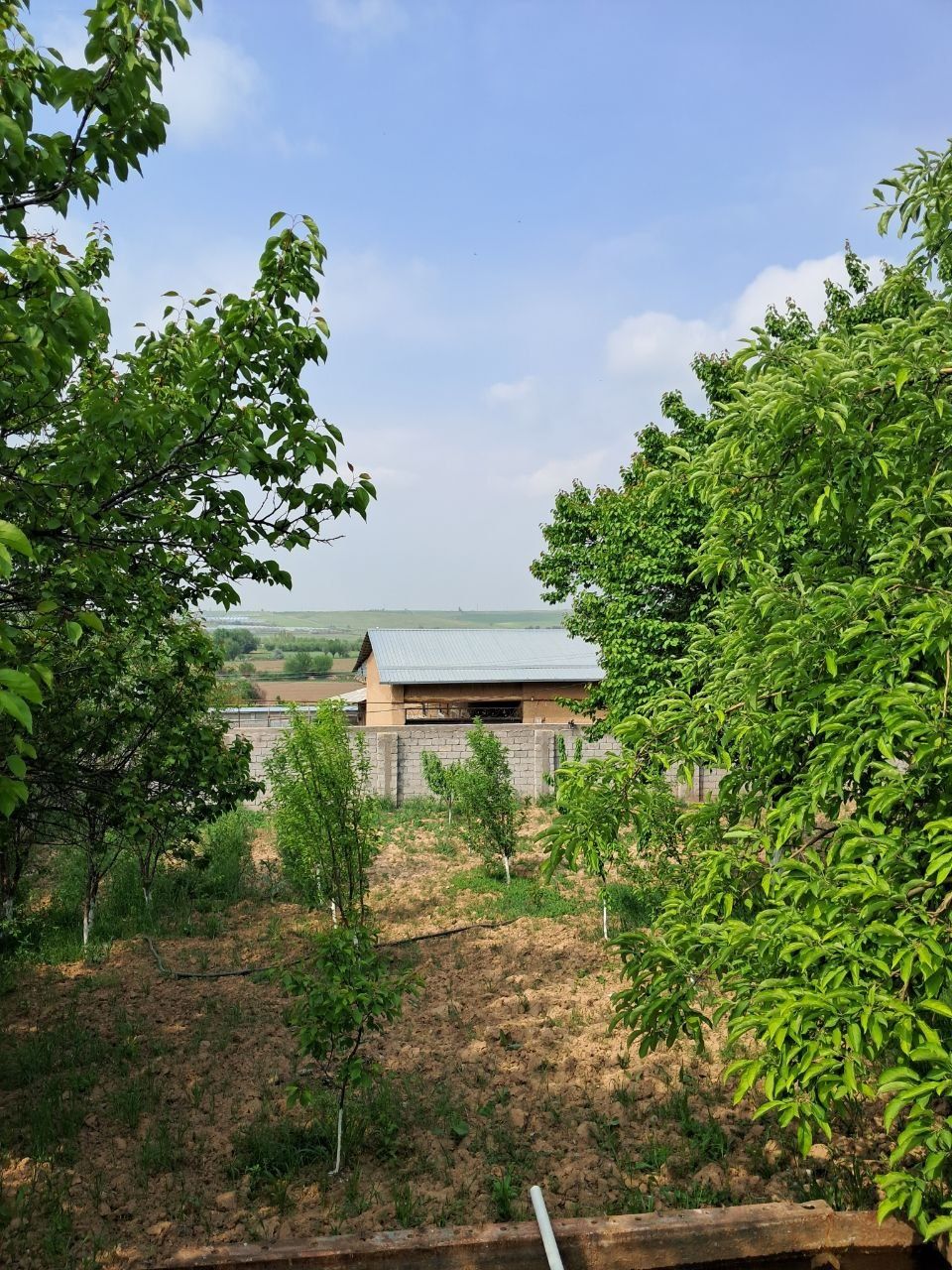 Продаётся дом( дача).