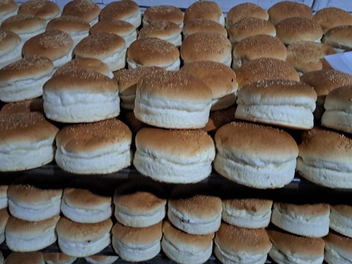 Xoddog gamburger nonlari