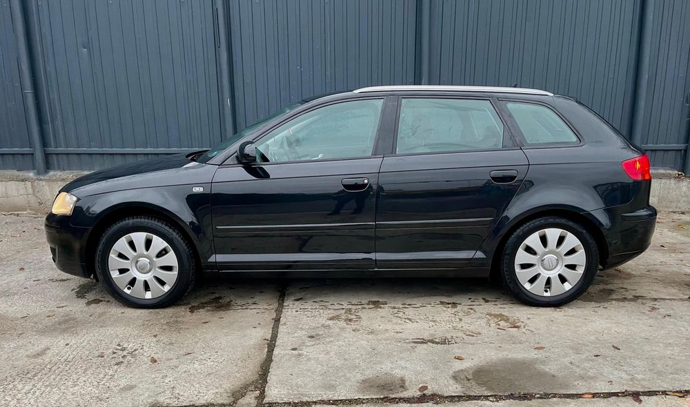 Audi A3 2007 1.9 TDI 105 cai Euro 4