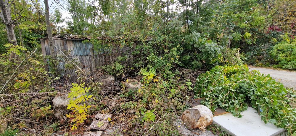 Безплатно/ Дърва за огрев различни видове,нарязани.