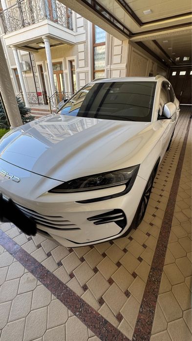 BYD Chempion Gibrid Full  2025