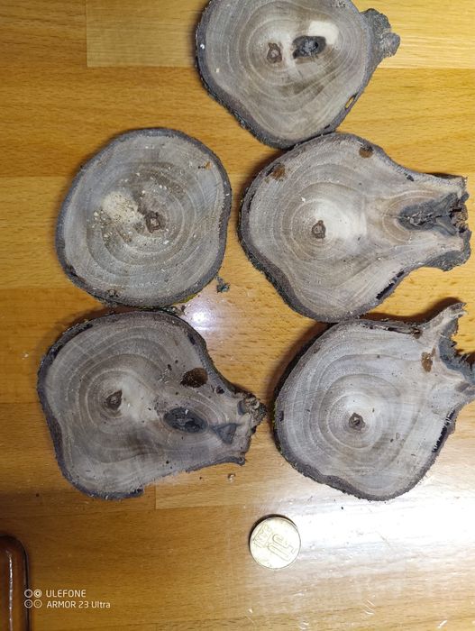 Rondele lemn pentru decorațiuni