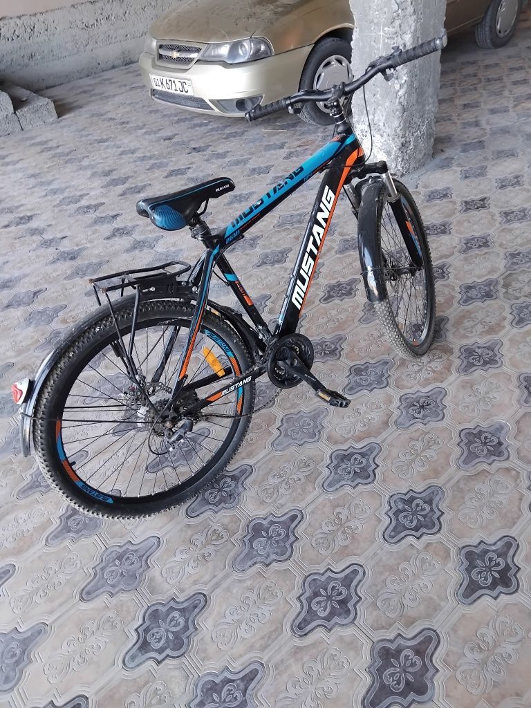 Velosapet nomi mustang.