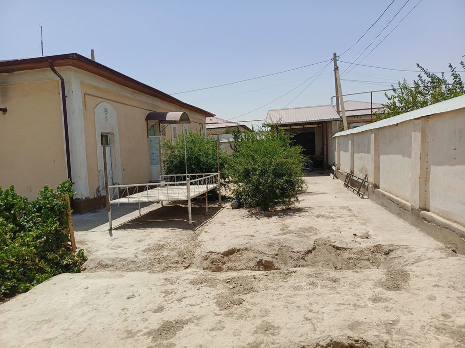 Guzor kotej/Гузор котеж/Kotej/Katej/катеж