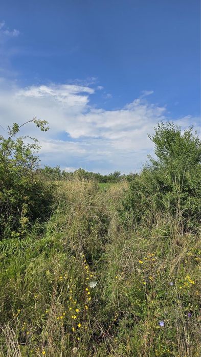 Vand teren agricol Dealul Fanatelor