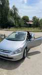 Vind peugeot 307