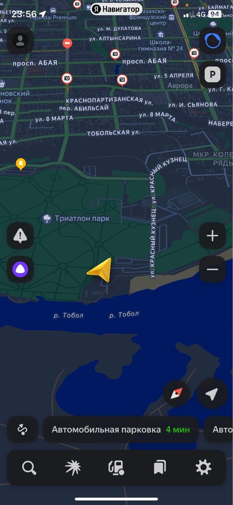 Кошка в Триатлон парк