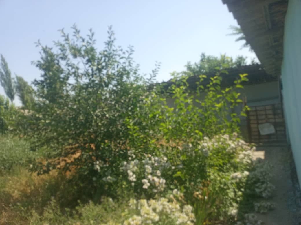 Продается дом! В Сырдарьинском района посёлок городского типа КУËШ!