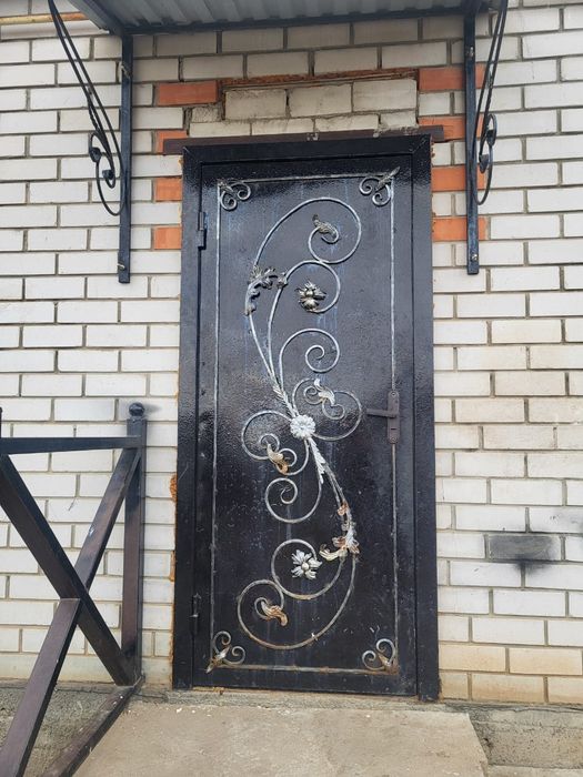 Железный дверь  входной