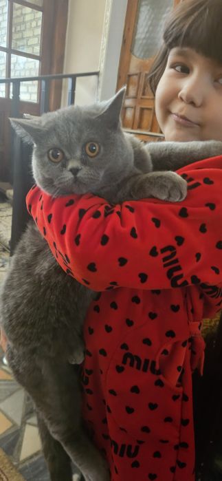 2 ta parodistiy 1tasi strayt 1 tasi vislauwka