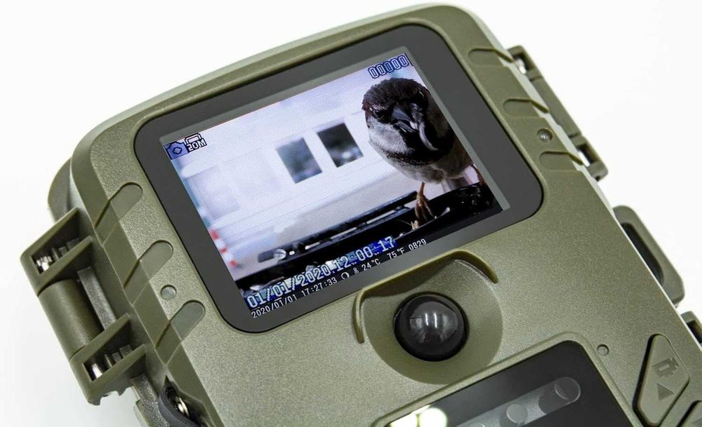 Cameră supraveghere vânătoare observare animale salbatice pasari