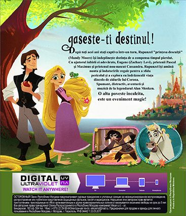 O Poveste Incalcita Serialul Sezonul 1 / Tangled: The Series Season 1