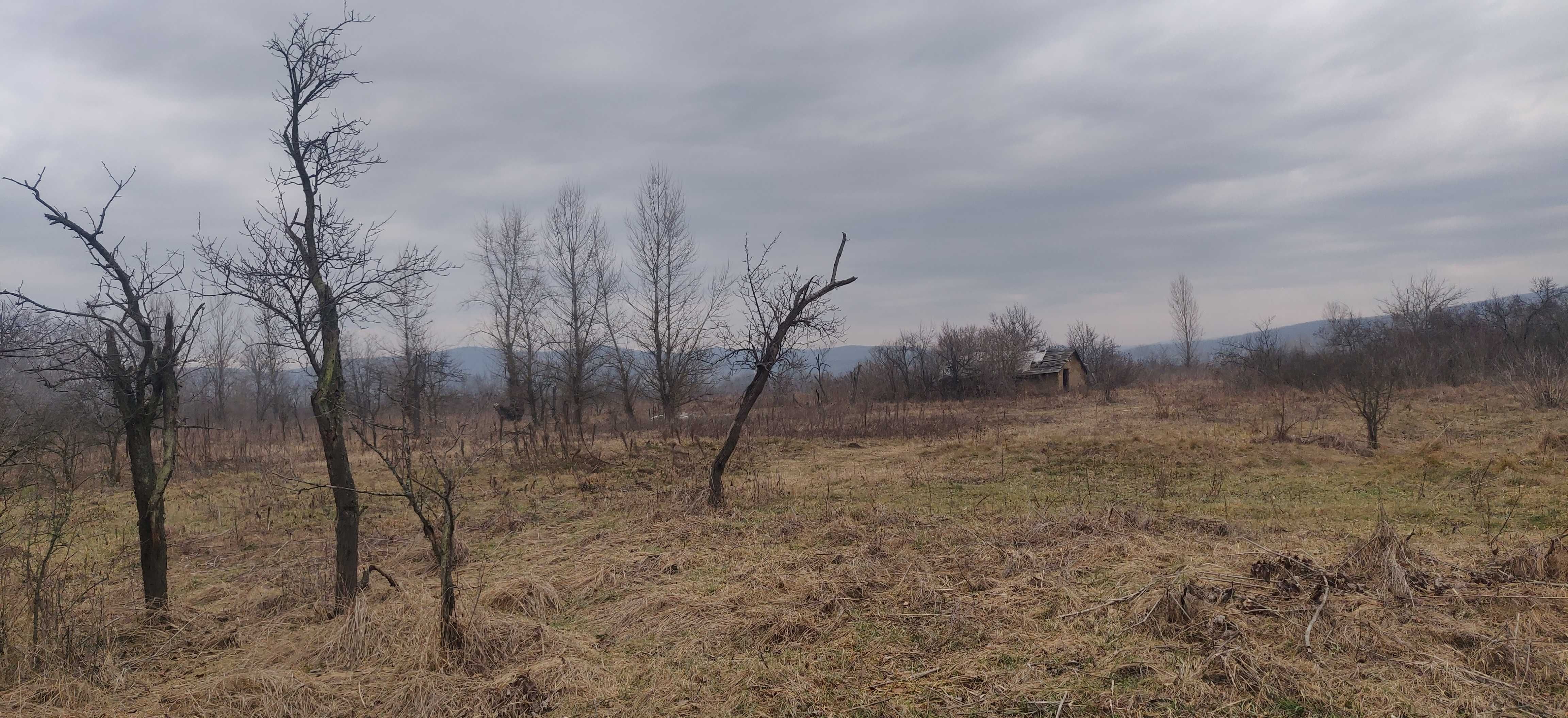 Vând teren agricol arabil ieșire  la Mureșului 13700m Lipova-11000e/ha