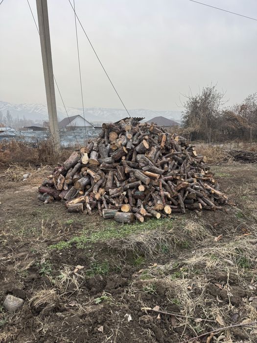 Дрова в чурхках сухие яблока