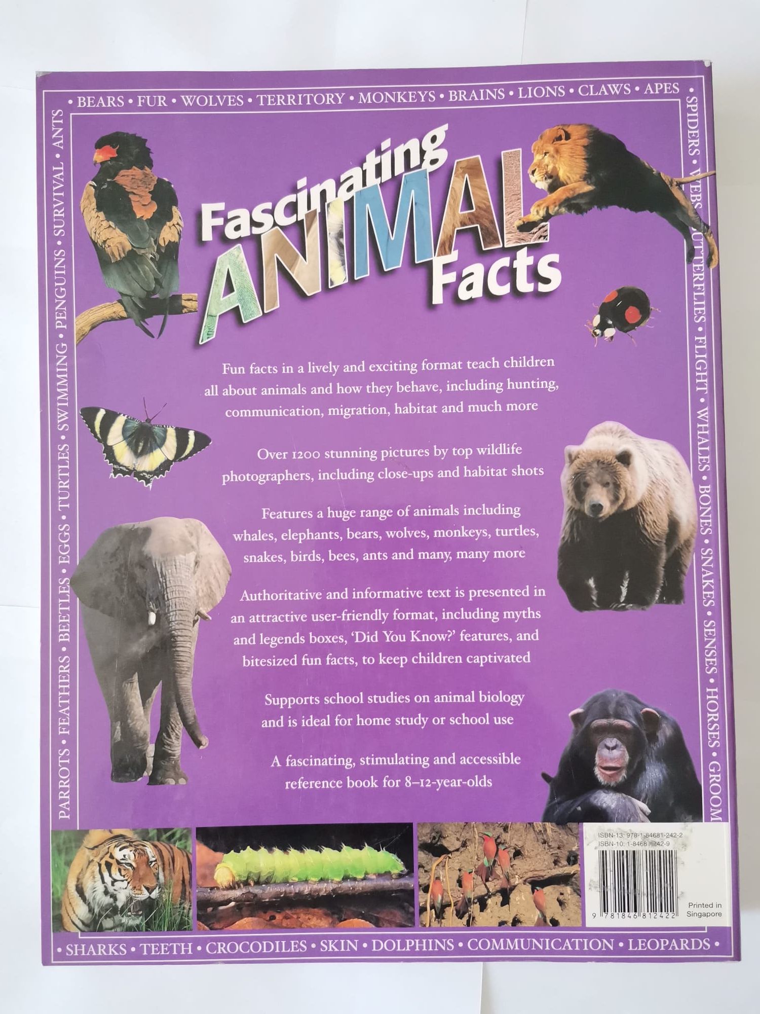 Fascinating Animal Facts Hermes House Encyclopedia Klevansky Green