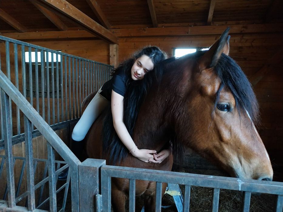 Iapa  cuminte  de 5 ani