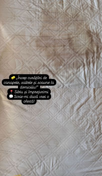 Curatenie in detaliu