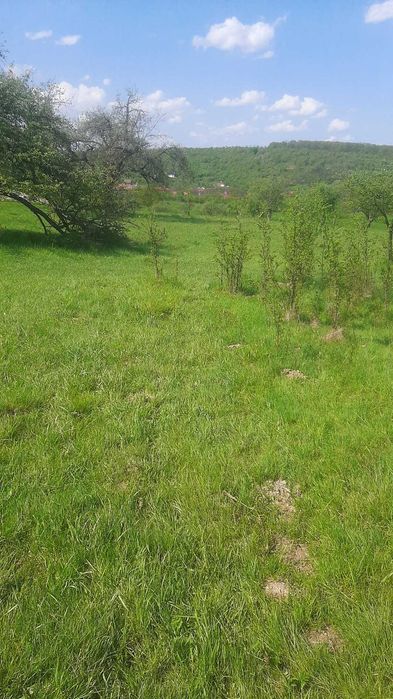 Vand teren zona Sibiel-Marginimea Sibiului