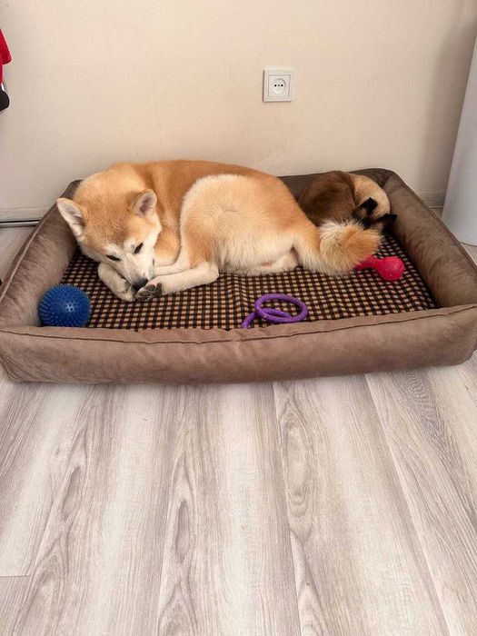 Лежанки для собак 110 на 80 см .