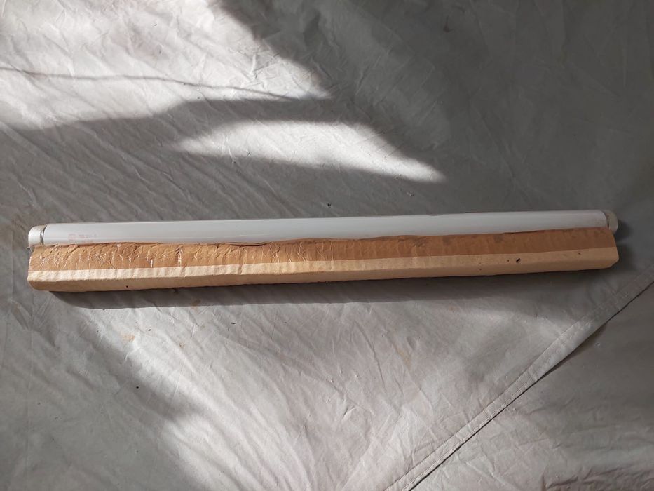 Лампы дневного света ЛБ 20-1. 60 см  Коробка