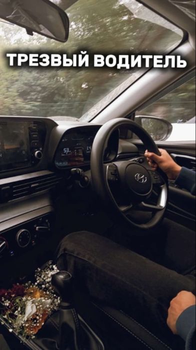 Трезвый Водитель
