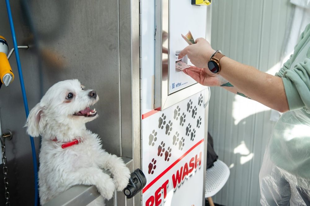 Spălătorie canină cu autoservire