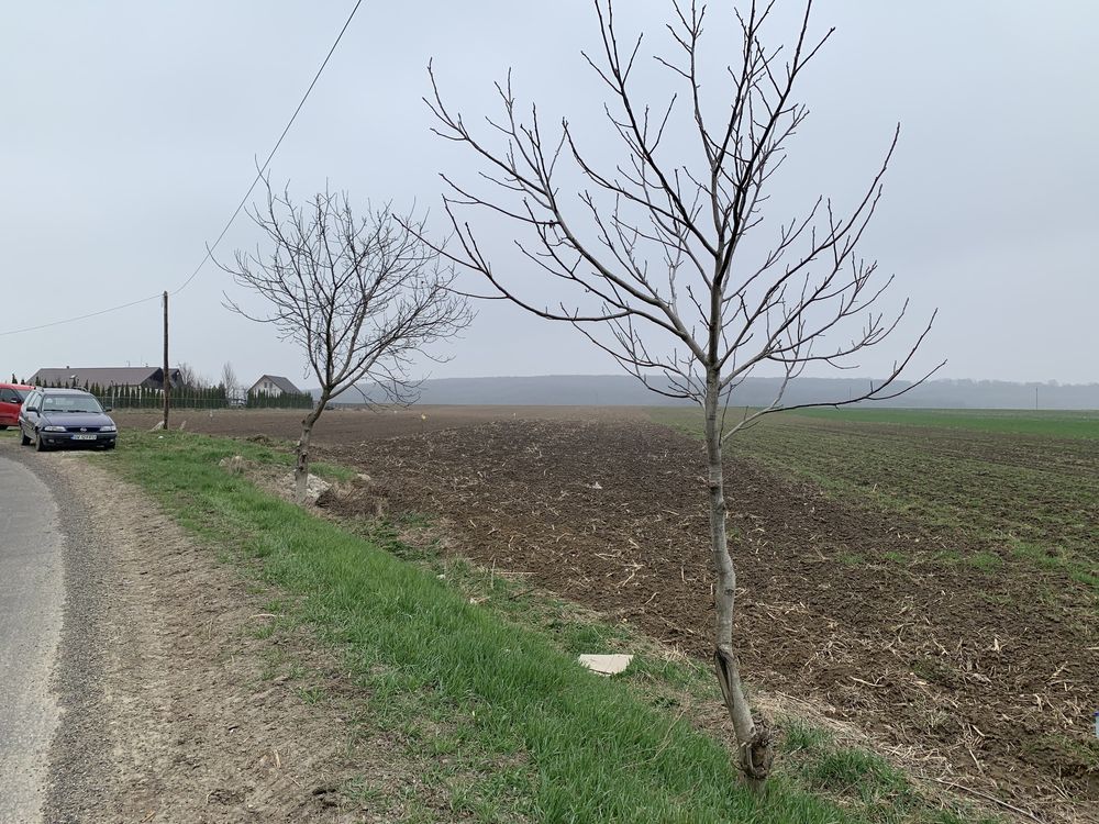 Vand teren la iesire Suceava spre Mitoc langa fab. de statii epurare