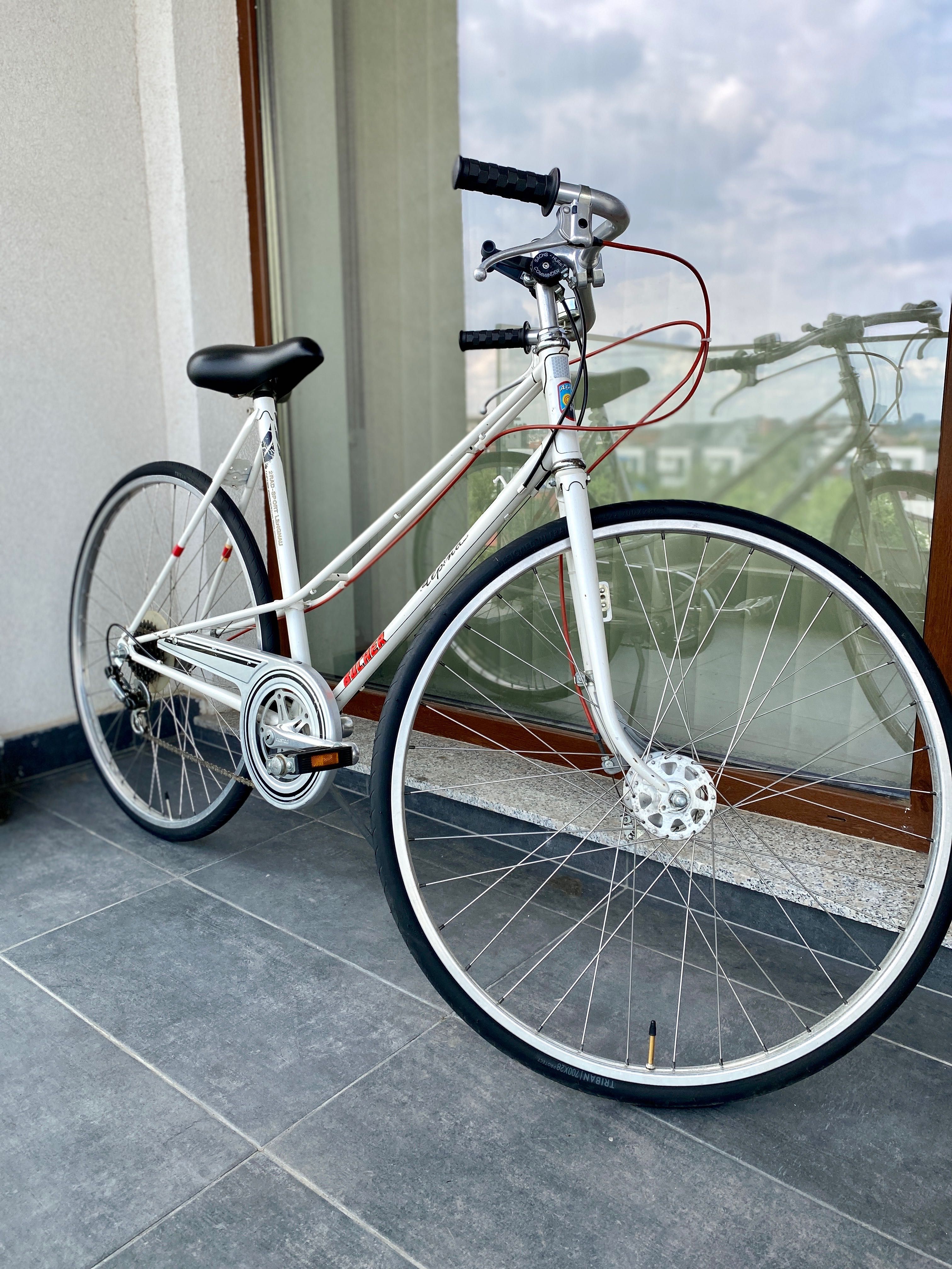 Bicicleta Alpina Bucher