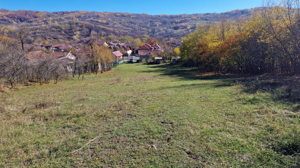 Vând teren intravilan 8000 m²