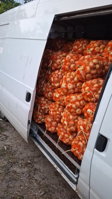 Ceapa romaneasca din arpagic