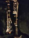 AMATİ 313.klarineta e mnogo zapazen