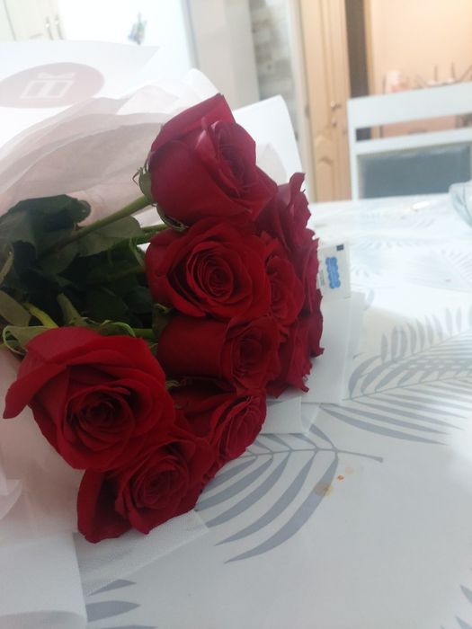 Роза красная  свежие