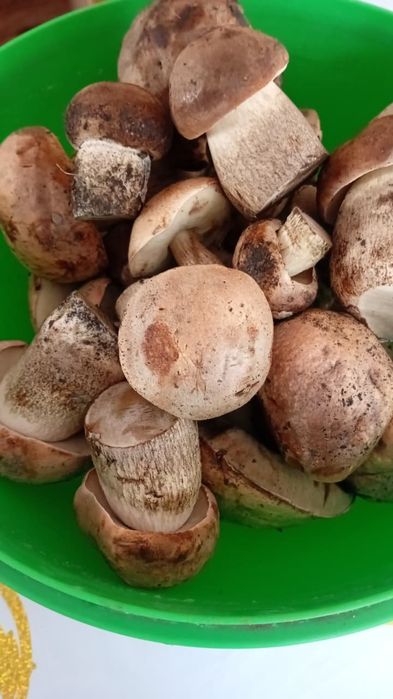 Грибы маринованные ,соленные,сушенные!