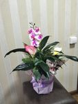 Женские счастье в наличие есть
