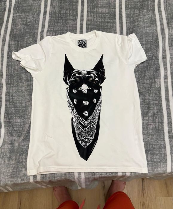 Артикули луда топ състояние