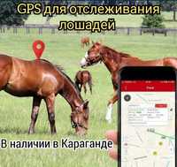 GPS трекер для отслеживания лошадей для GSM локации скота