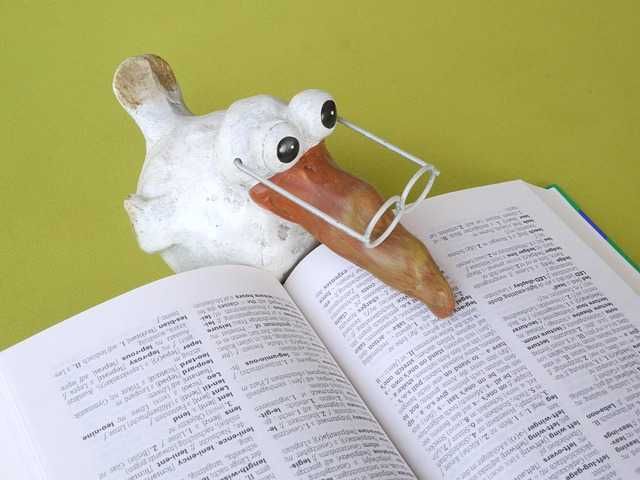 Перевод книг, диссертаций и научных работ на иностранные языки!..