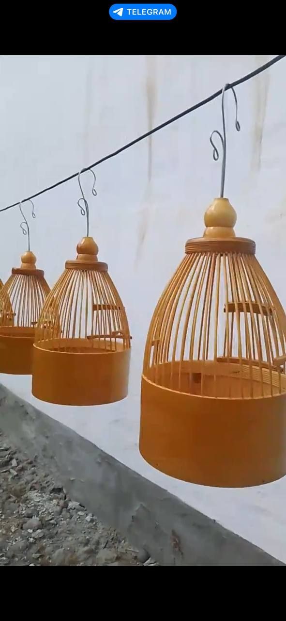 Италия бедана учун кафас italiya bedona uchun qafas