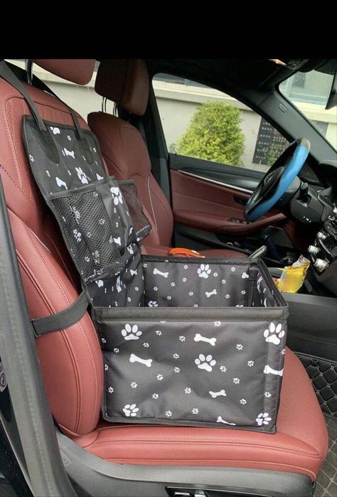 Столче за кола, за куче