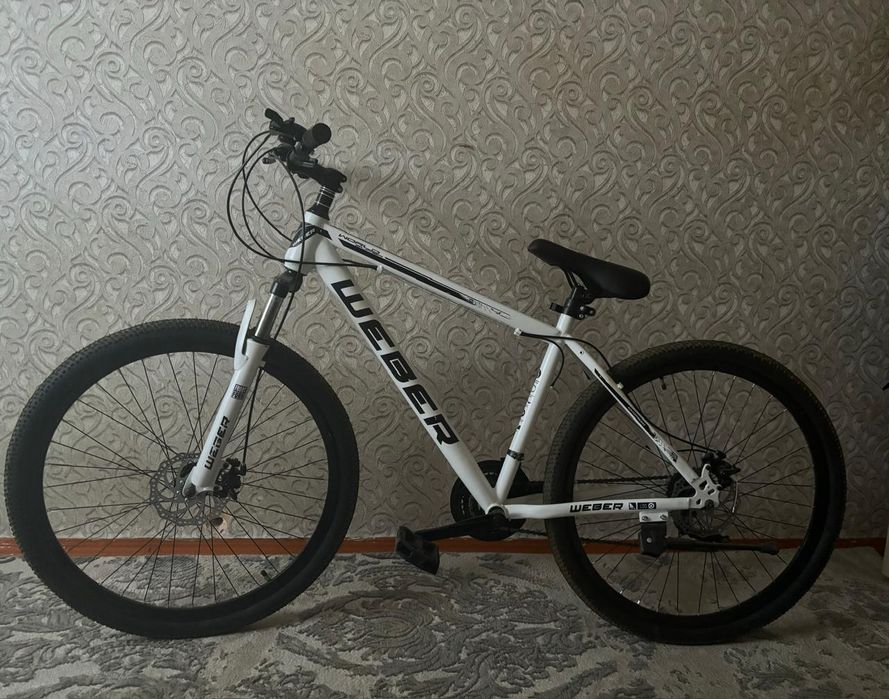 Велосипед новый (подарили)