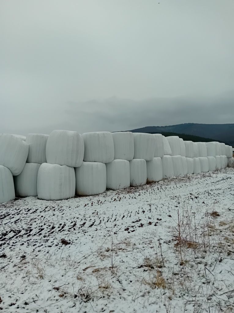 Baloți înfoliati de lucernă ecologică