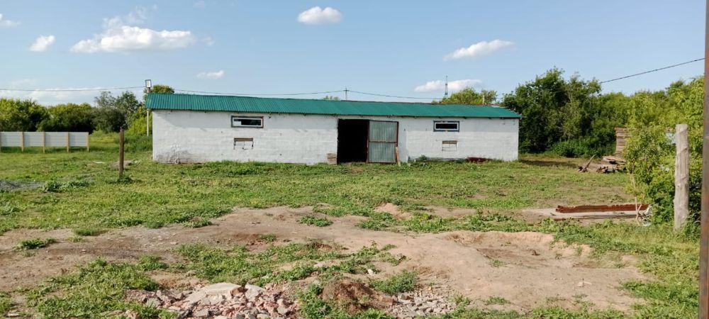 Продаю дом с базой под скот