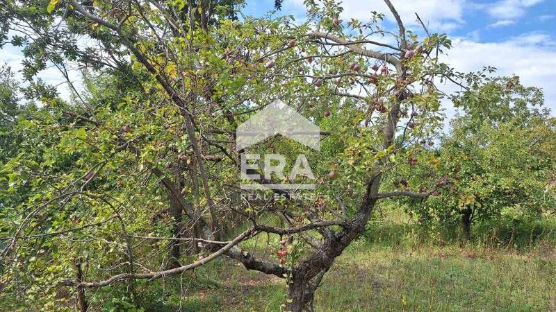 Продава се Парцел в Варна, м-т Боровец - юг - 1236 кв.м за 37 €/кв.м - Снимка #7