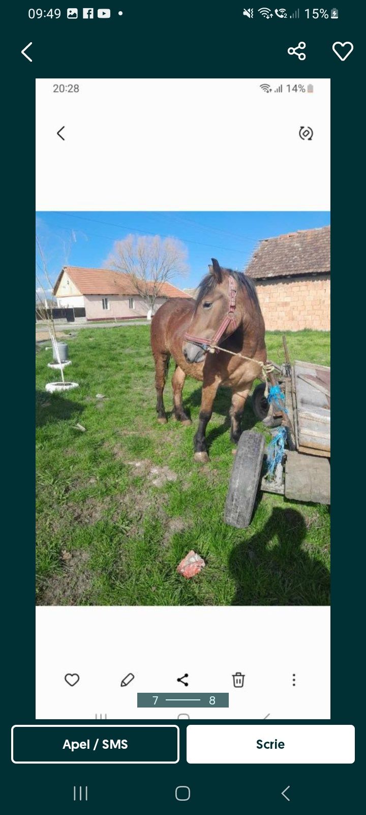 Mnză grea vstra 2 ani este forte blndą vindem urget