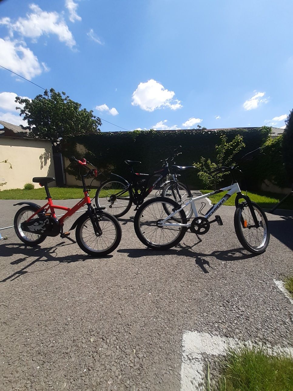 3 biciclete dintre care una ptr.adult bărbat și două ptr.copii.