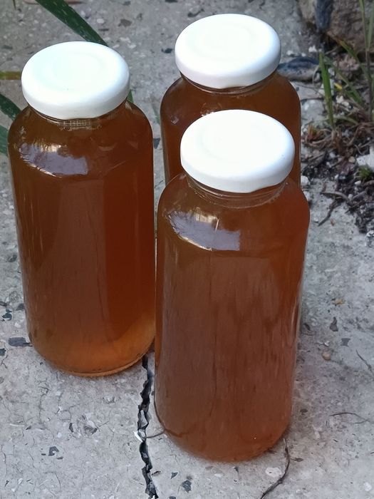 Сироп от коприва с Био манов мед и лимон