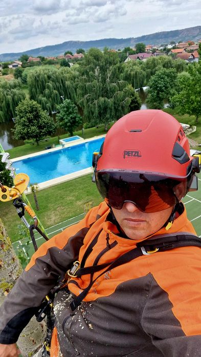 Toaletare, defrișare,taiere, reducere coraona arbori in sistem